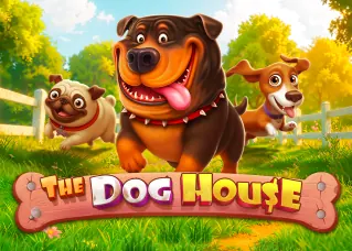 money24 The Dog House ทดลองเล่นฟรี